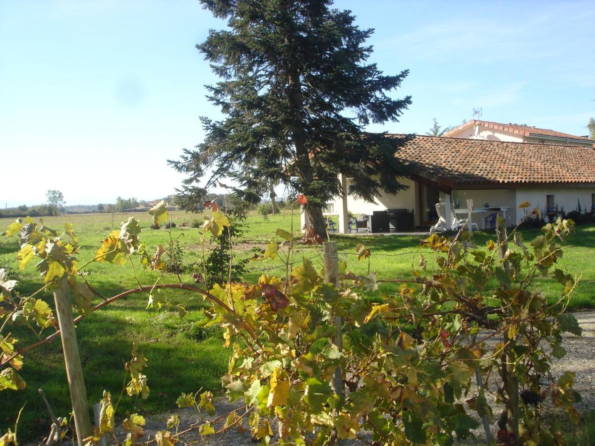 Location Gite 4 Personnes Mazeres - La Petite Maison Esterno foto