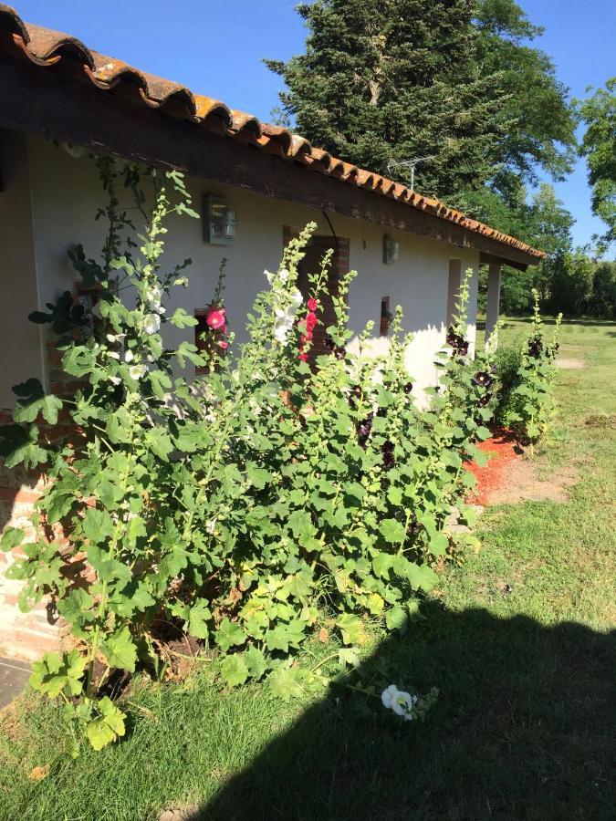 Location Gite 4 Personnes Mazeres - La Petite Maison Esterno foto