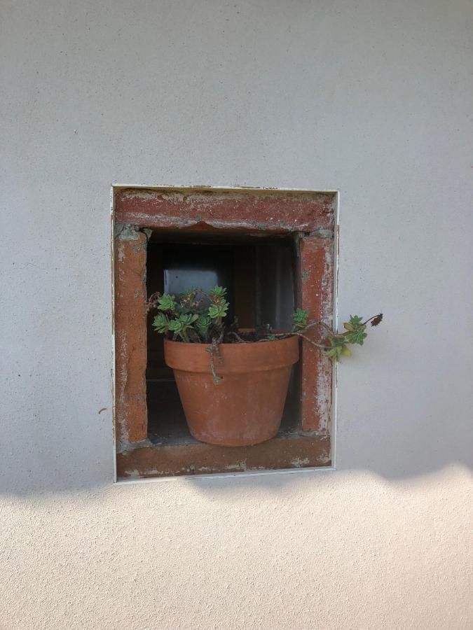 Location Gite 4 Personnes Mazeres - La Petite Maison Esterno foto