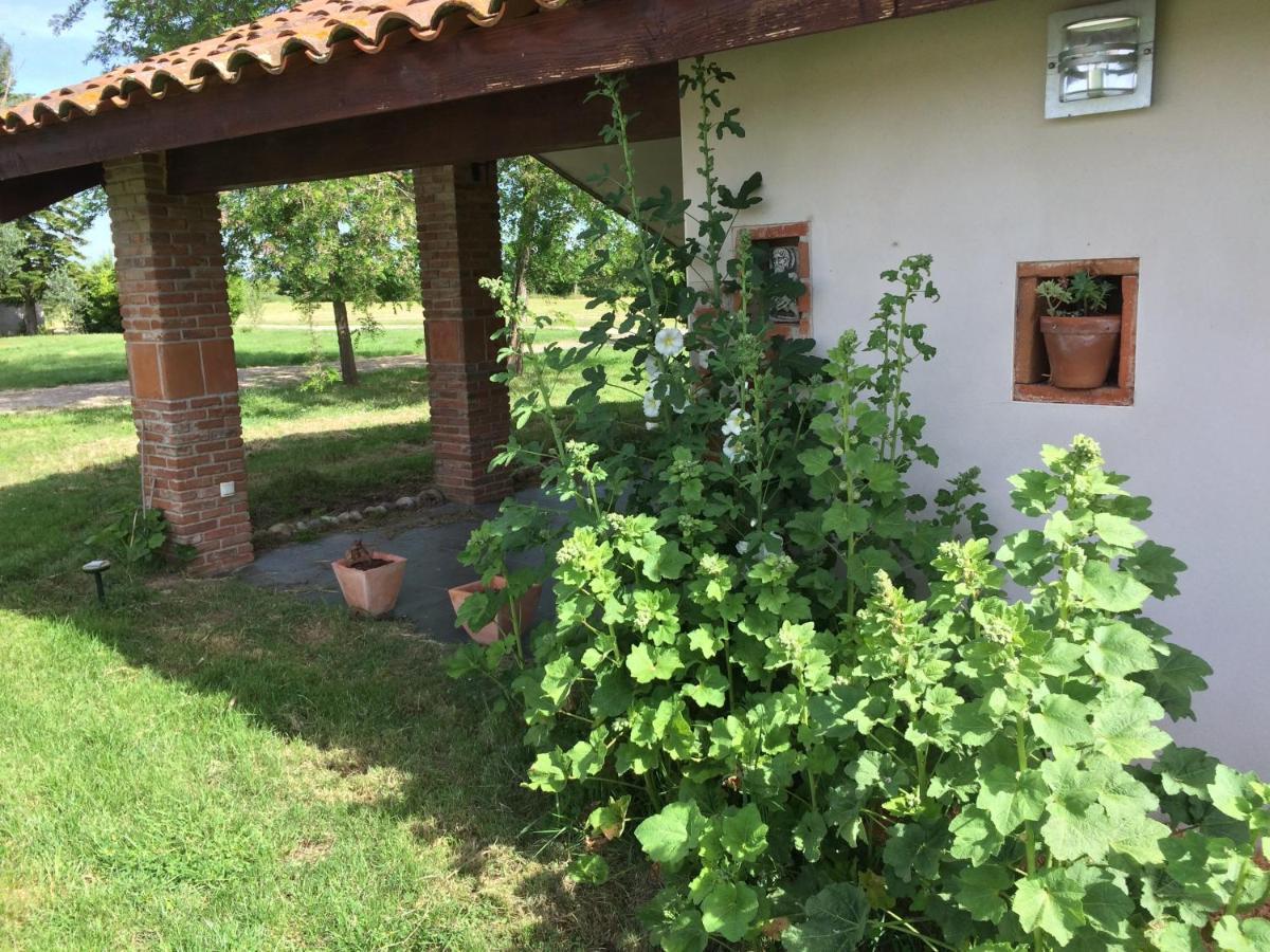 Location Gite 4 Personnes Mazeres - La Petite Maison Esterno foto
