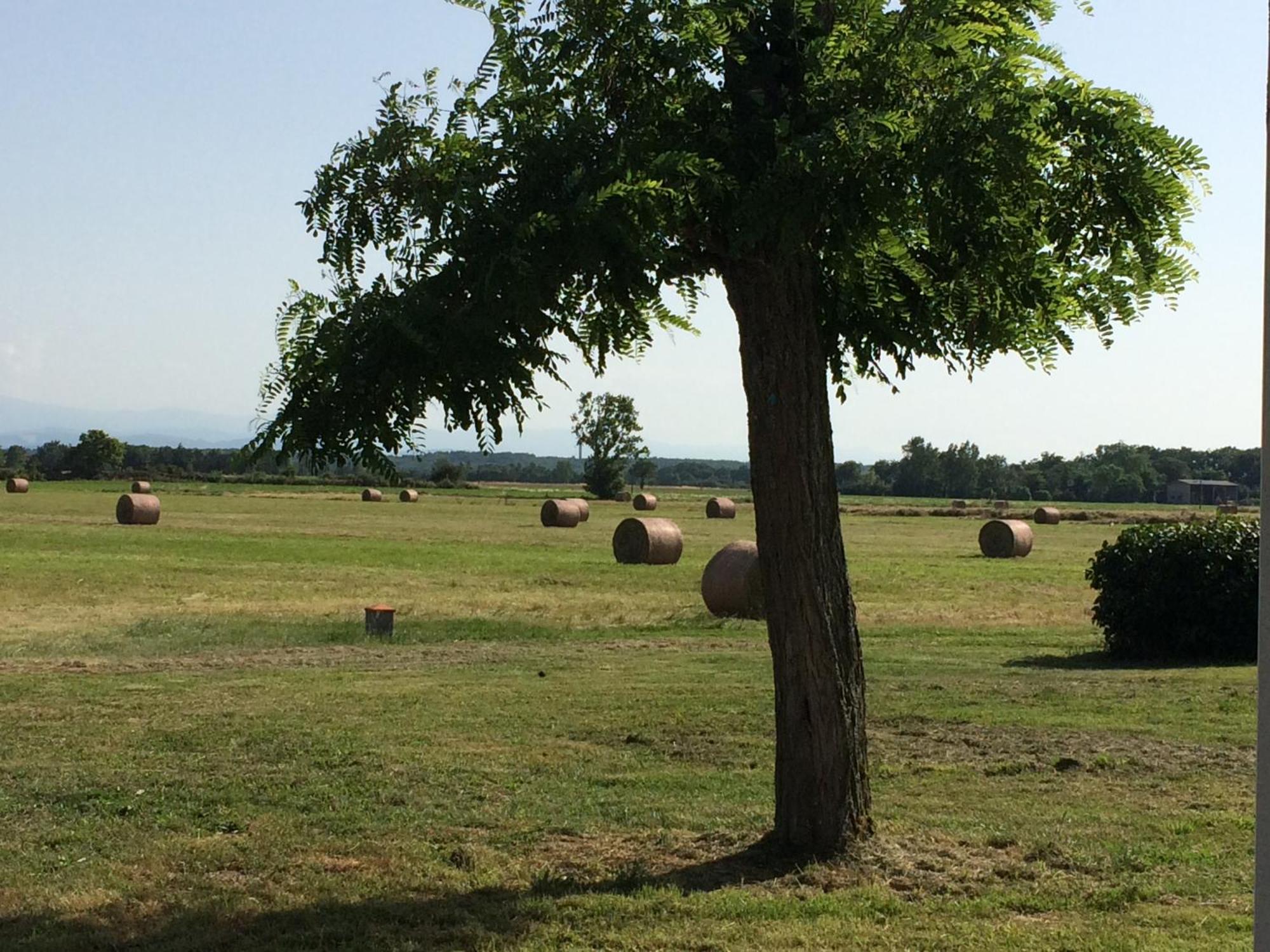 Location Gite 4 Personnes Mazeres - La Petite Maison Esterno foto